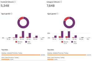 Instagram Target Audience Analysis, Types of Research